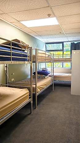 Bed in 12 Bed Mixed Dormitory