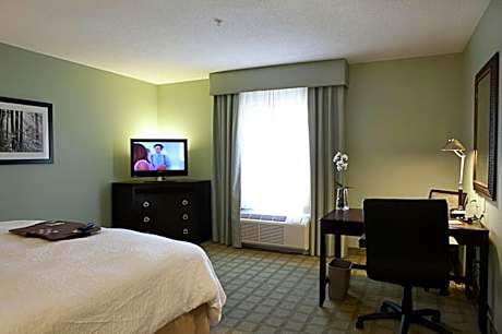 King Room with King Bed - Non-Smoking