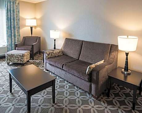 One King Bed Suite
