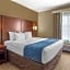 Comfort Suites At Rivergate Mall