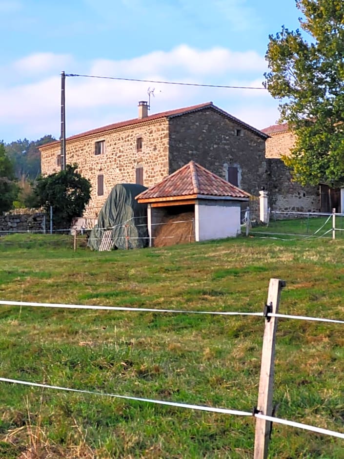 Ferme de la Combe - The Goldy's Farm