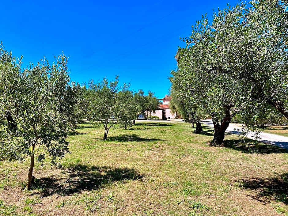 RESIDENCE TERME ISOLA D'ELBA SRL