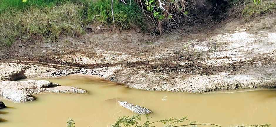 Fig Tree Camp - Maasai Mara