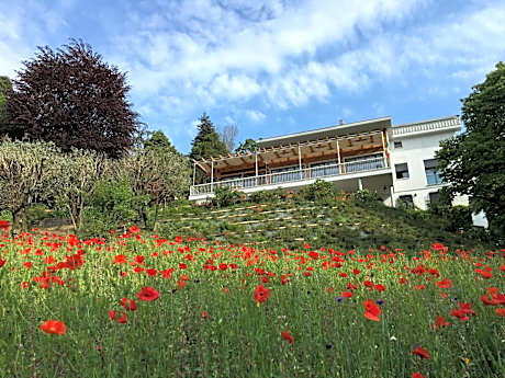 Bed and Breakfast Admiramini