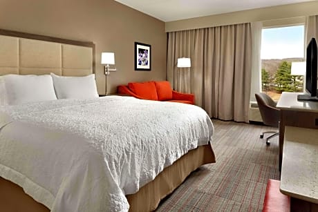 1 KING EXECUTIVE SHOWER ONLY NONSMOKING 40IN HDTV/FREE WI-FI/FRIDGE/MICROWAVE HOT BREAKFAST INCLUDED