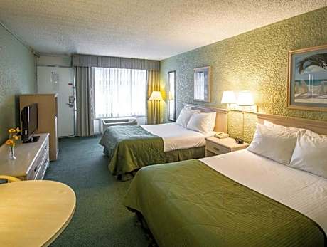 Double Room with Two Double Beds