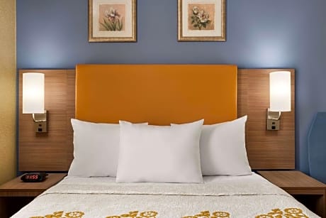 1 Queen Bed, Mobility Accessible Room, Hearing, Non-Smoking