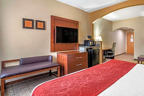 Deluxe King Suite - Non-Smoking