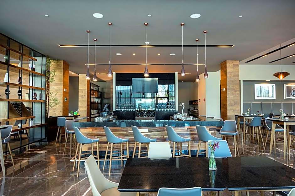 Hilton Garden Inn Aguascalientes