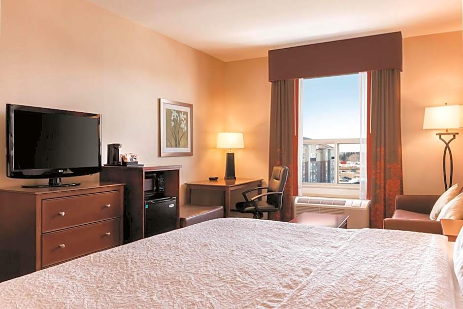 Hampton Inn by Hilton Edmonton/South