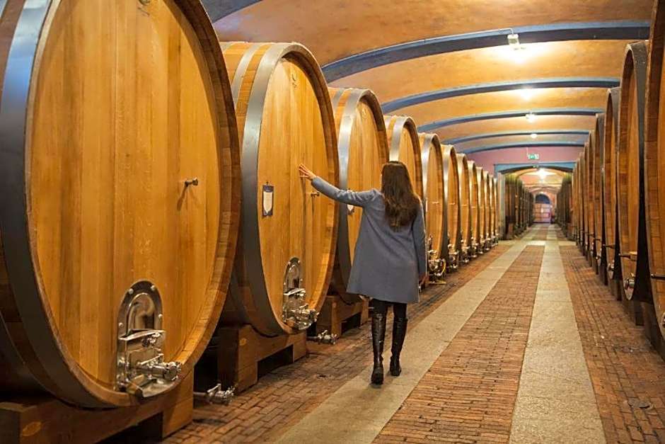 Villaggio Narrante - Foresteria delle Vigne