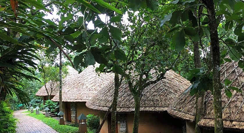 Poetree, Thekkady
