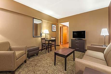 1 Queen Bed Mobility Accessible Studio Suite Non-Smoking