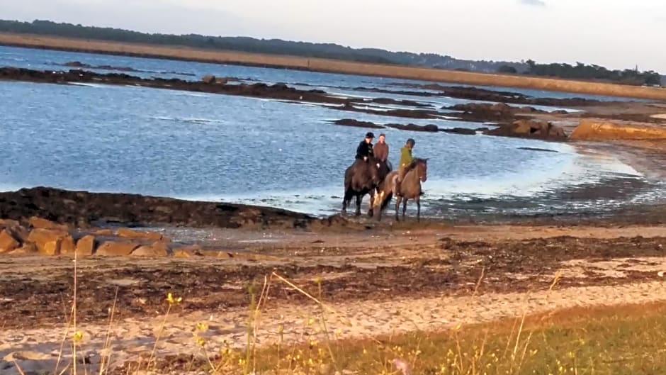 Kerstunt Chambre d'hôtes Relais Motards