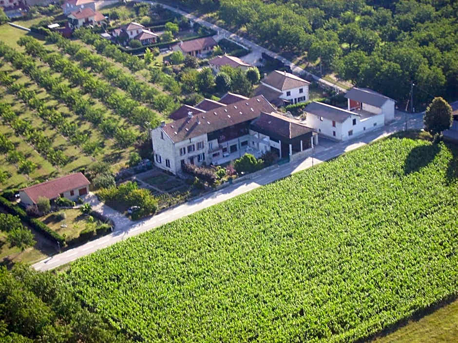 Chambres d'Hôtes La Noyeraie