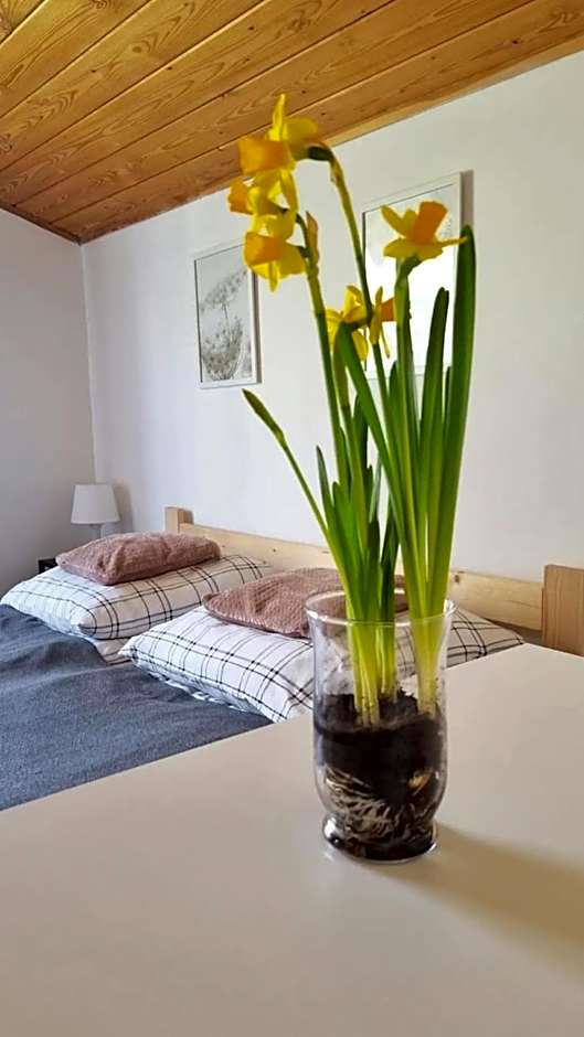 Dach Pod Sową