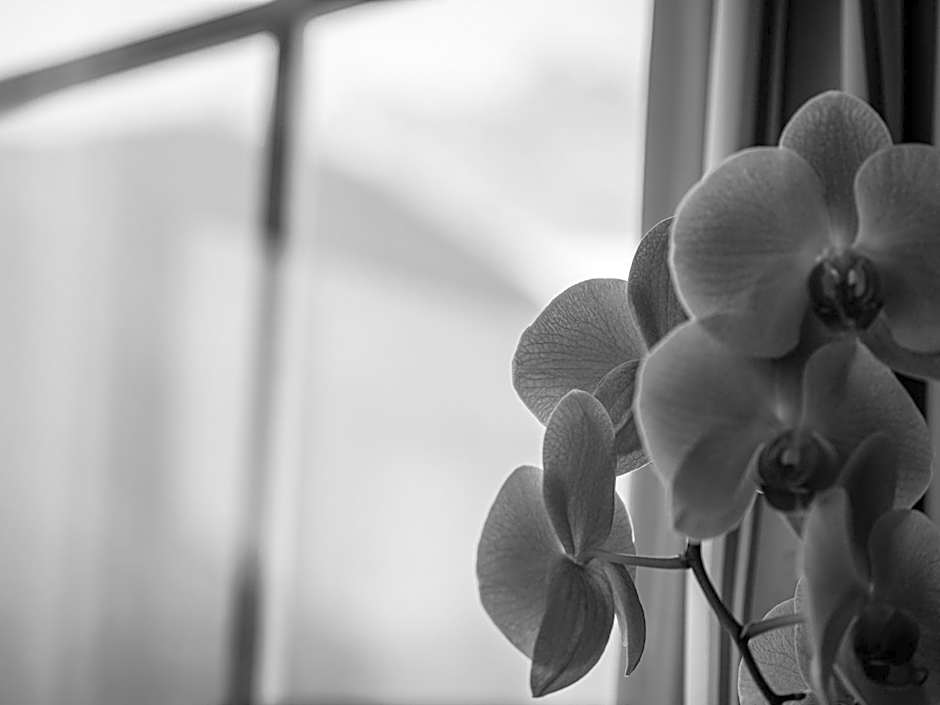 Appartementhaus Sennhüttn