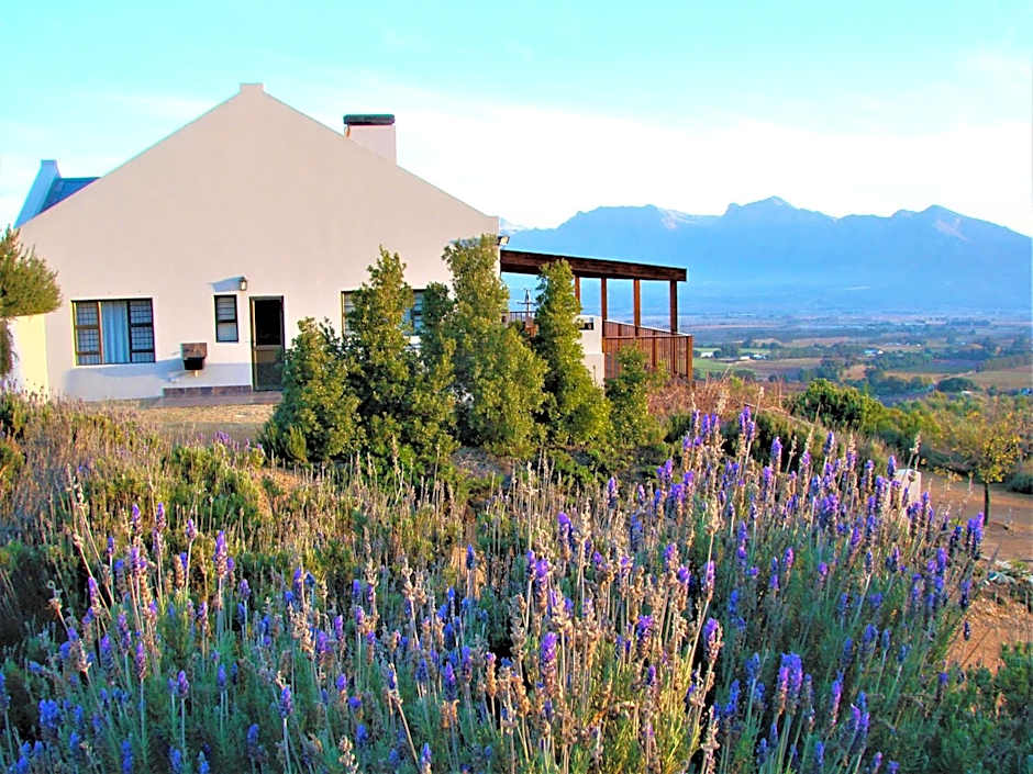 Vredehoek Guest Farm