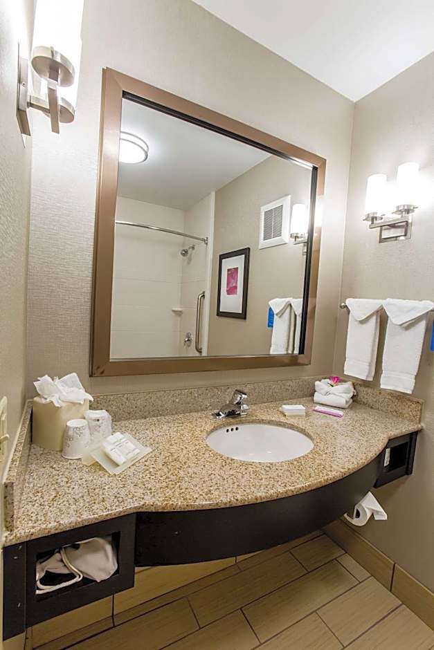 Hilton Garden Inn Columbus/Dublin