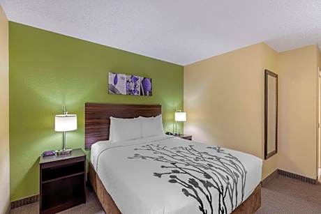 1 Queen Bed, Nonsmoking, Accessible