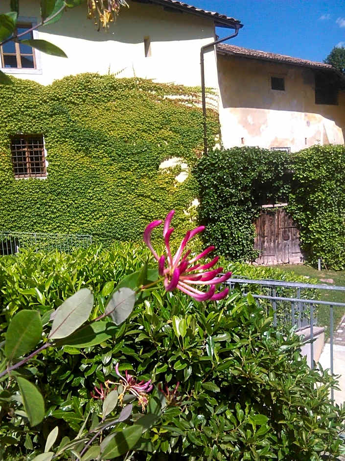 Relais Palazzo Lodron