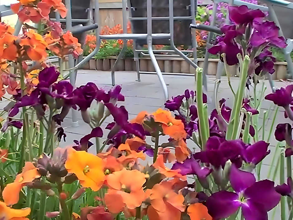 Moonah Central Apartments