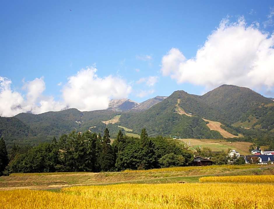 Hakuba Tsugaike Sunrise Tanne