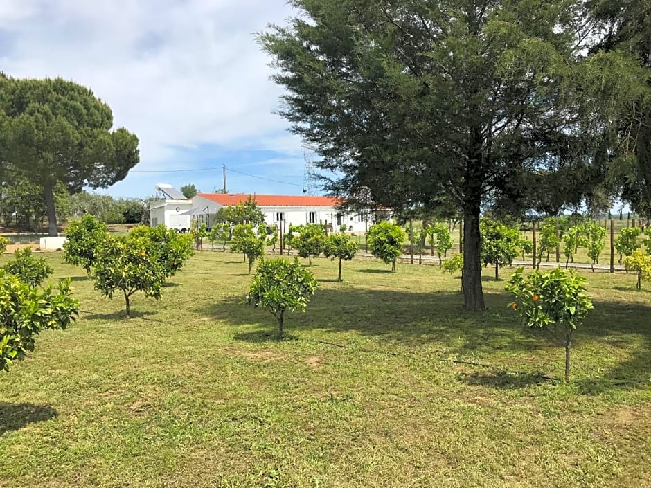 Horta da Rosa - Adults Only