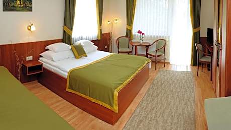 Large Deluxe Apartment