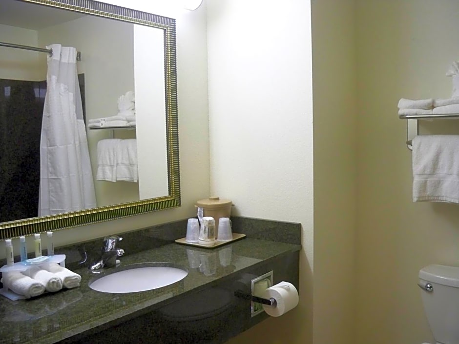 Holiday Inn Express Hotel & Suites Omaha I - 80