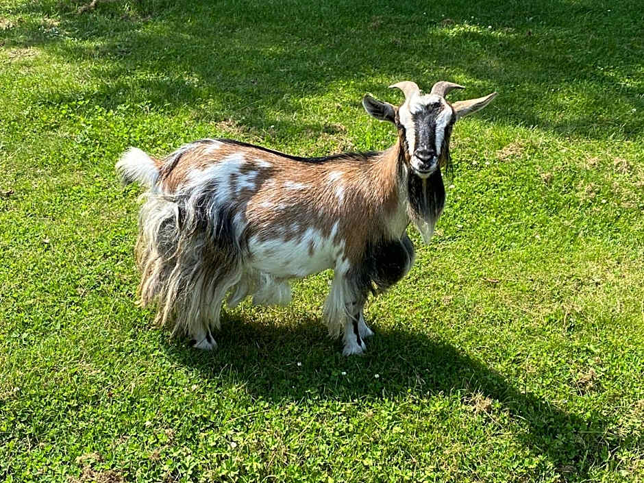 Amirauté Hôtel Golf Deauville