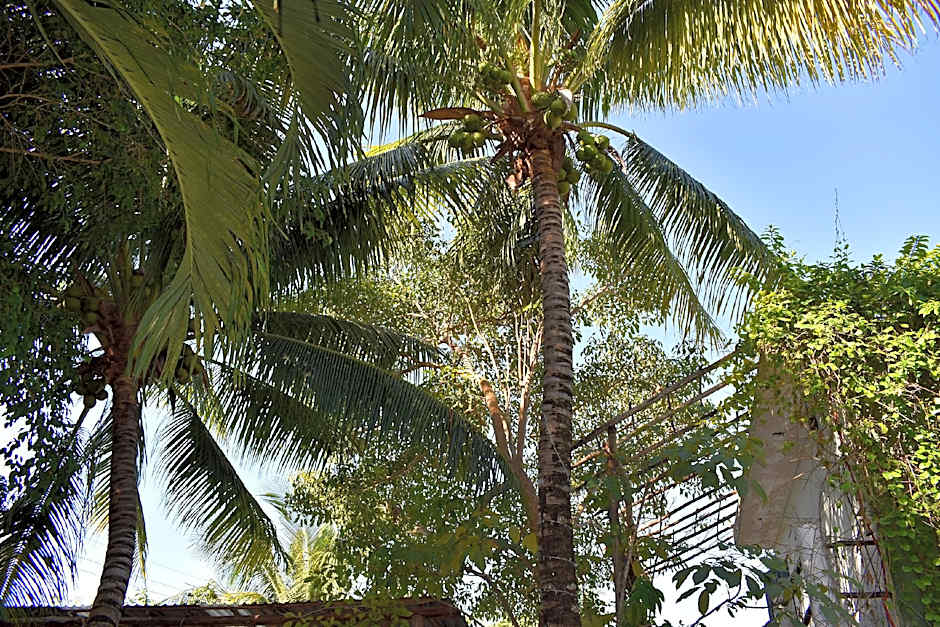 Gastello Inn Tulum