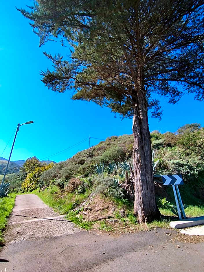 La Casita