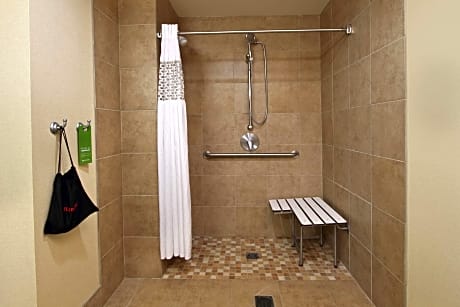 1 King Mobility Hearing Accessible Roll In Shower Studio Non-Smoking