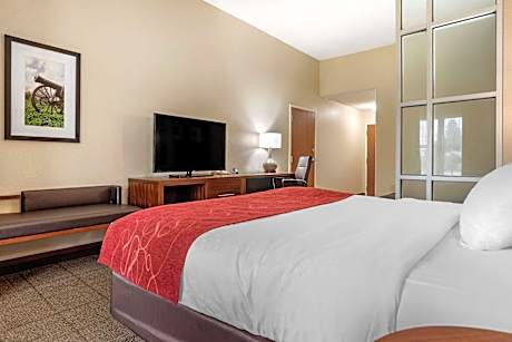 1 Queen Bed Suite Nonsmoking Accessible