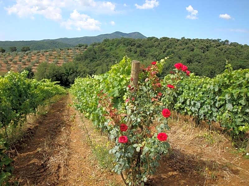 Montebelli Agriturismo & Country Hotel