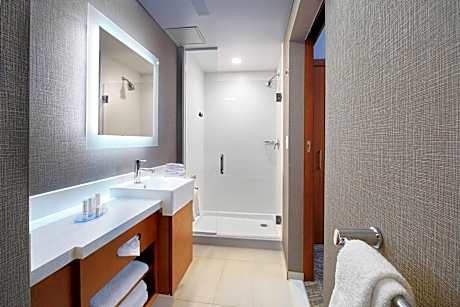 Suite, 1 King Bed with Sofa bed (1 King Bed and 1 Double Sofa Bed)