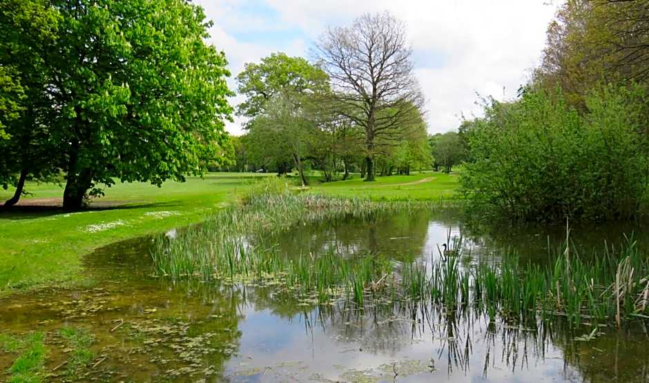 Manor Of Groves Hotel, Golf & Health Club