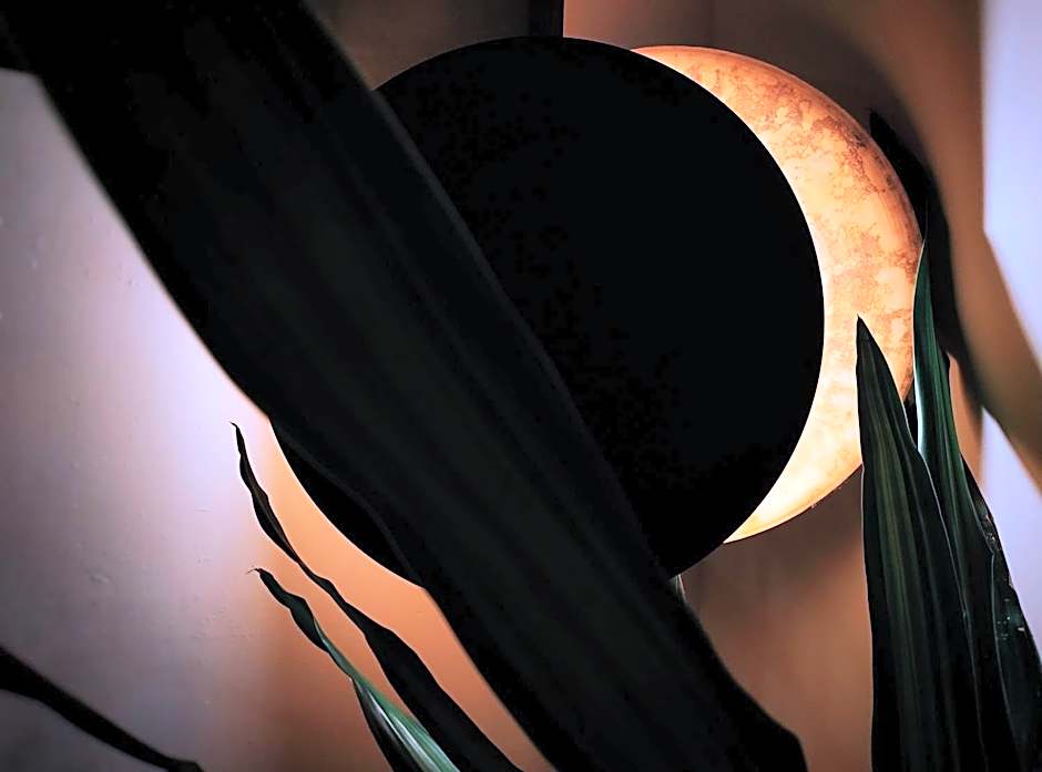 GOIN Old House & Bar