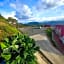 KUNDASANG MOUNT GARDEN