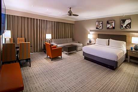 1 King Suite