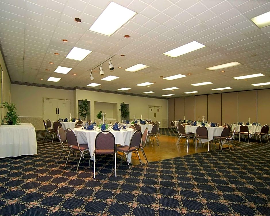Rodeway Inn Sandston