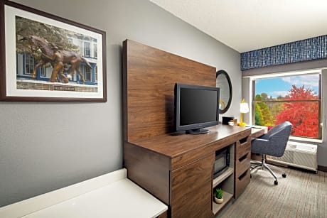 1 Queen Bed Nonsmoking