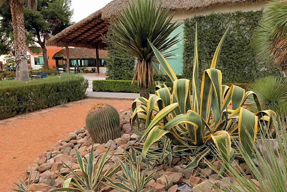 Mision Express Saltillo