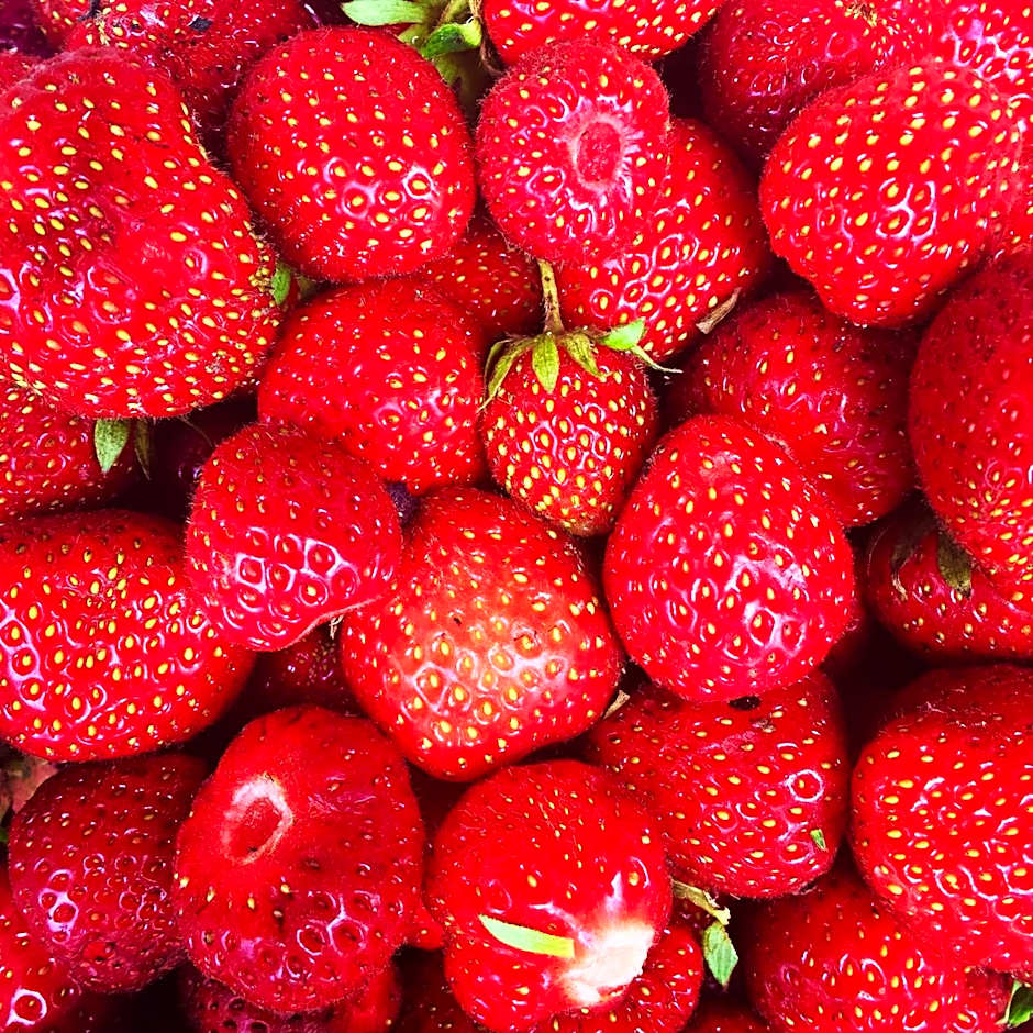 The Gordon Arms Restaurant with Rooms