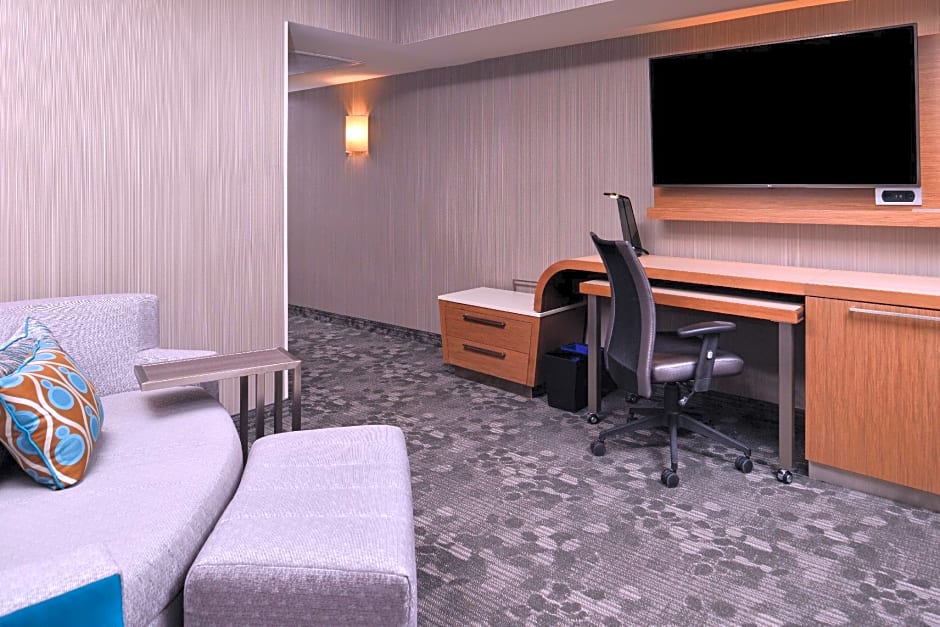 Photo 1 of 10 of 1 King Bed with Sofabed Suite