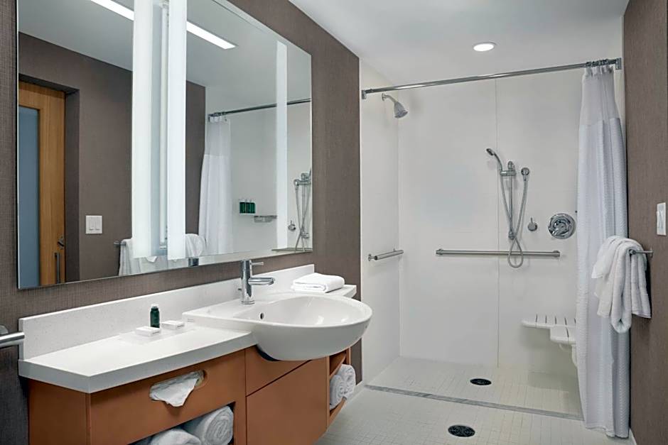 Springhill Suites by Marriott Orlando Theme Parks/Lake Buena Vista