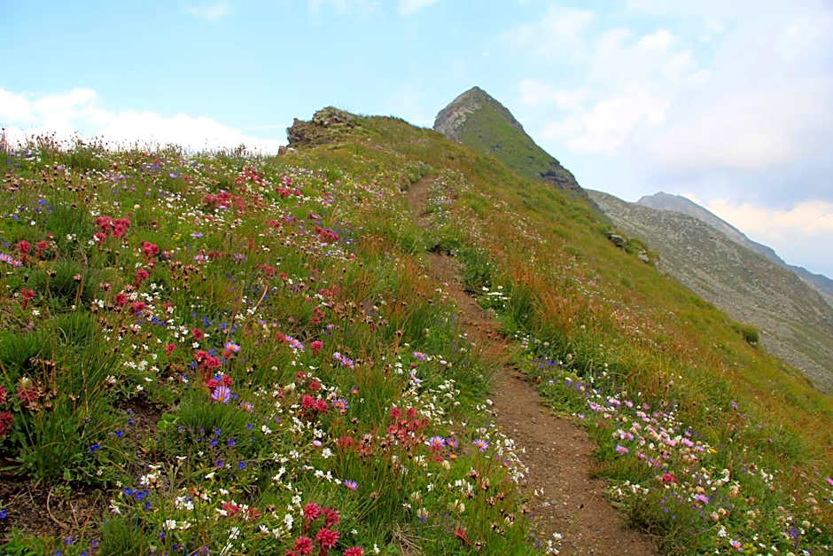 Residence Sonnenburger - Biobauernhof - Azienda agricola biologica