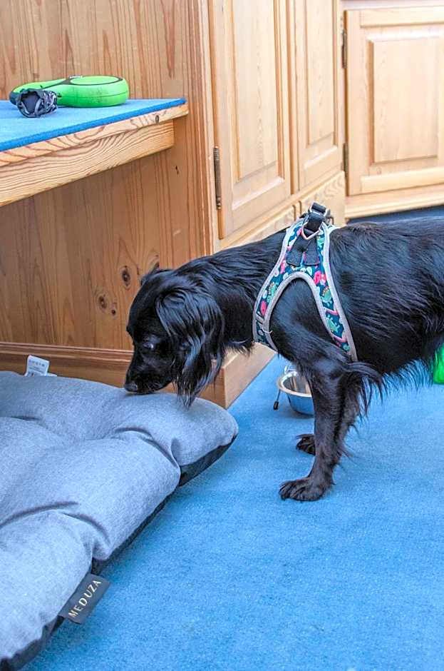 Hotel & Restaurant Haus am See