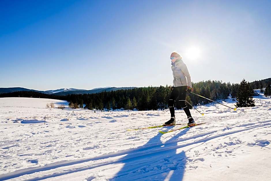 Grüner Baum Naturparkhotel & Schwarzwald-Restaurant